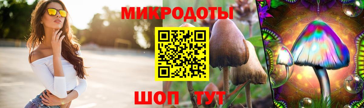что такое   Вход с VPN  Кимовск  Галлюциногенные грибы Cubensis 