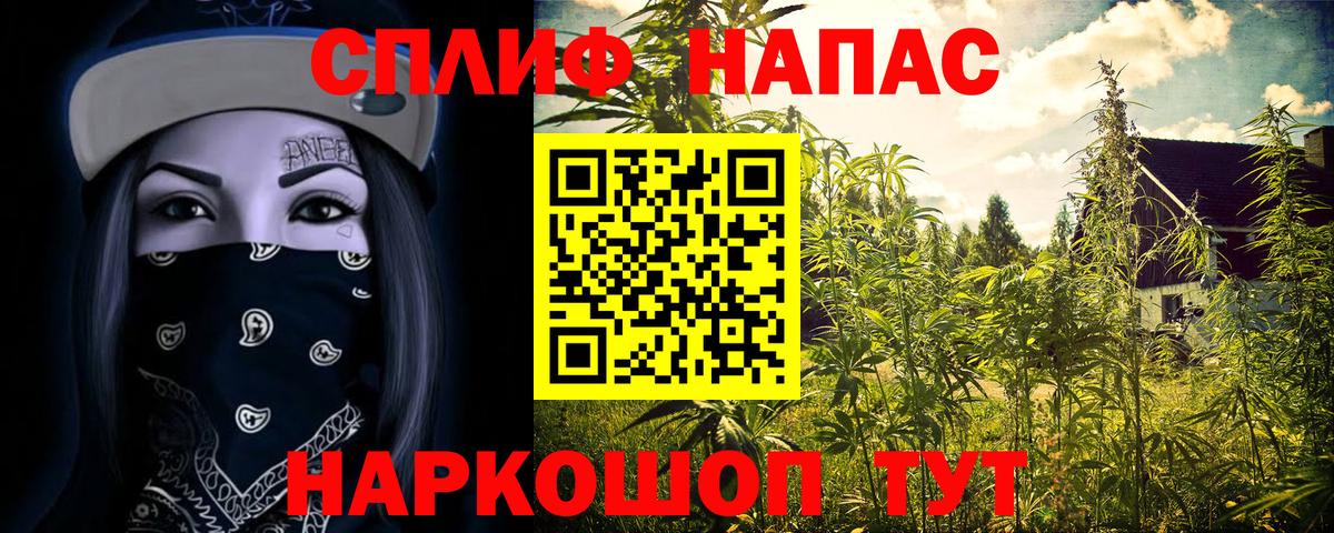 Бошки марихуана индика  МАРИХУАНА VHQ  Кимовск  Каннабис THC 21%  Вход с VPN 